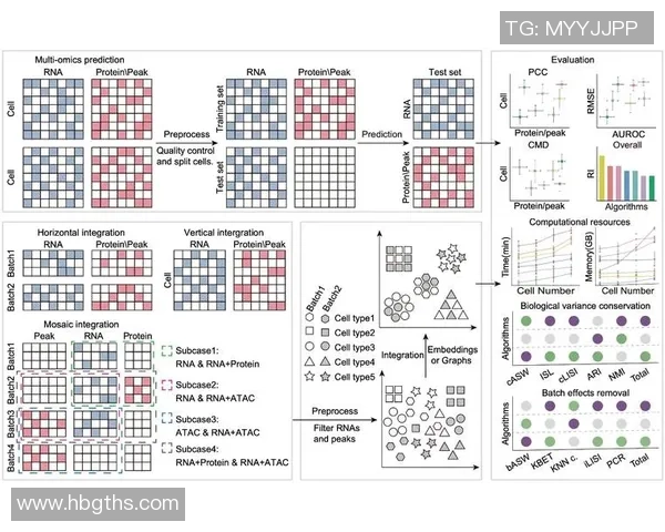 LNG在冠军杯中的心理素质分析与表现评估 LNG在冠军杯中的心理素质分析与表现评估